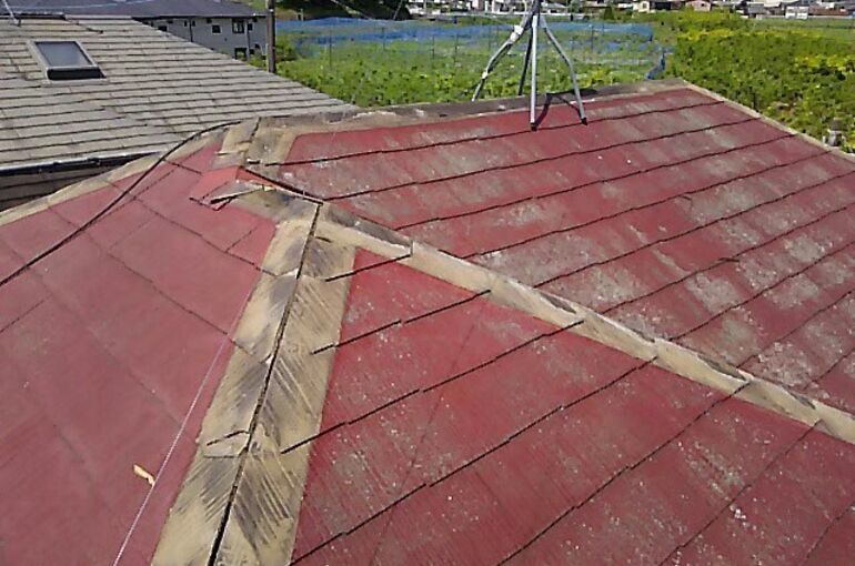 LINE_ALBUM_伊勢原　ヒランビーカバー_220204_33